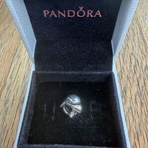 RETIRED Pandora Dolphin Charm #790189